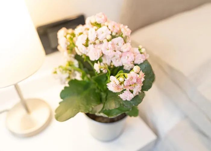 A Pochi Passi Dalla Biennale 베니스